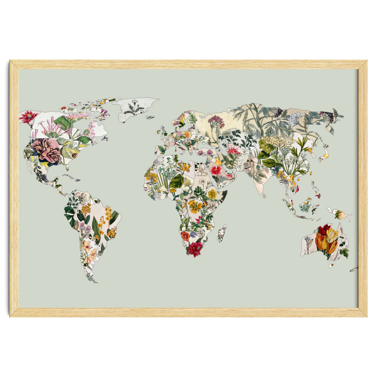 Vintage Botanical Map - Green