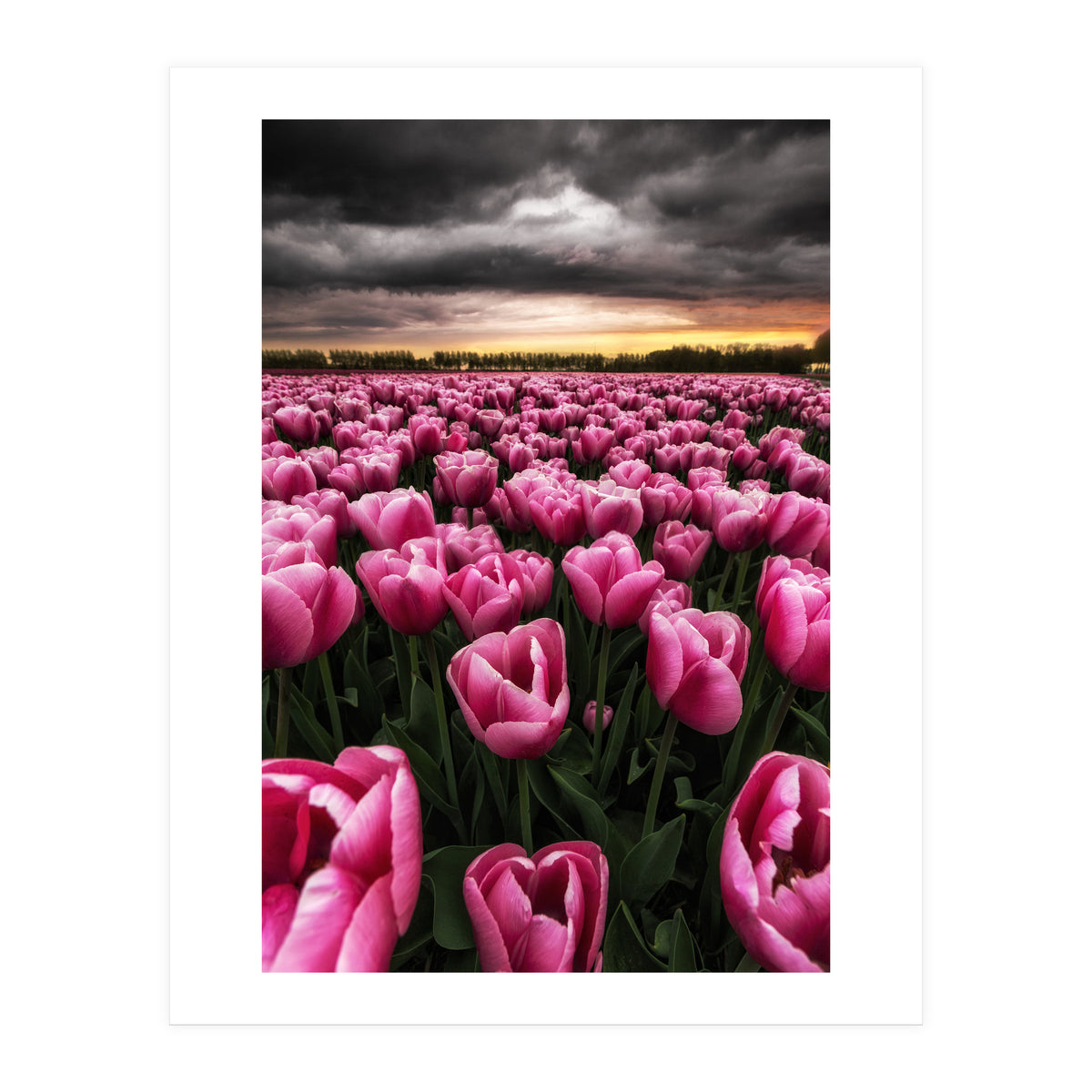 Spring Palette (Print Only)