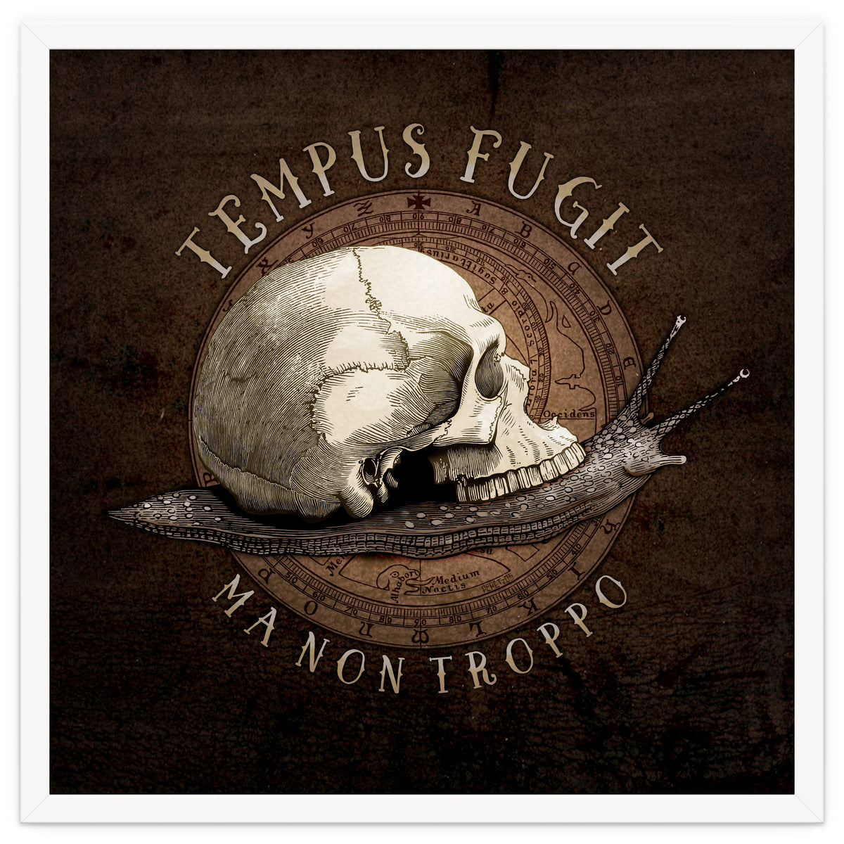 Tempus Fugit (ma non troppo)