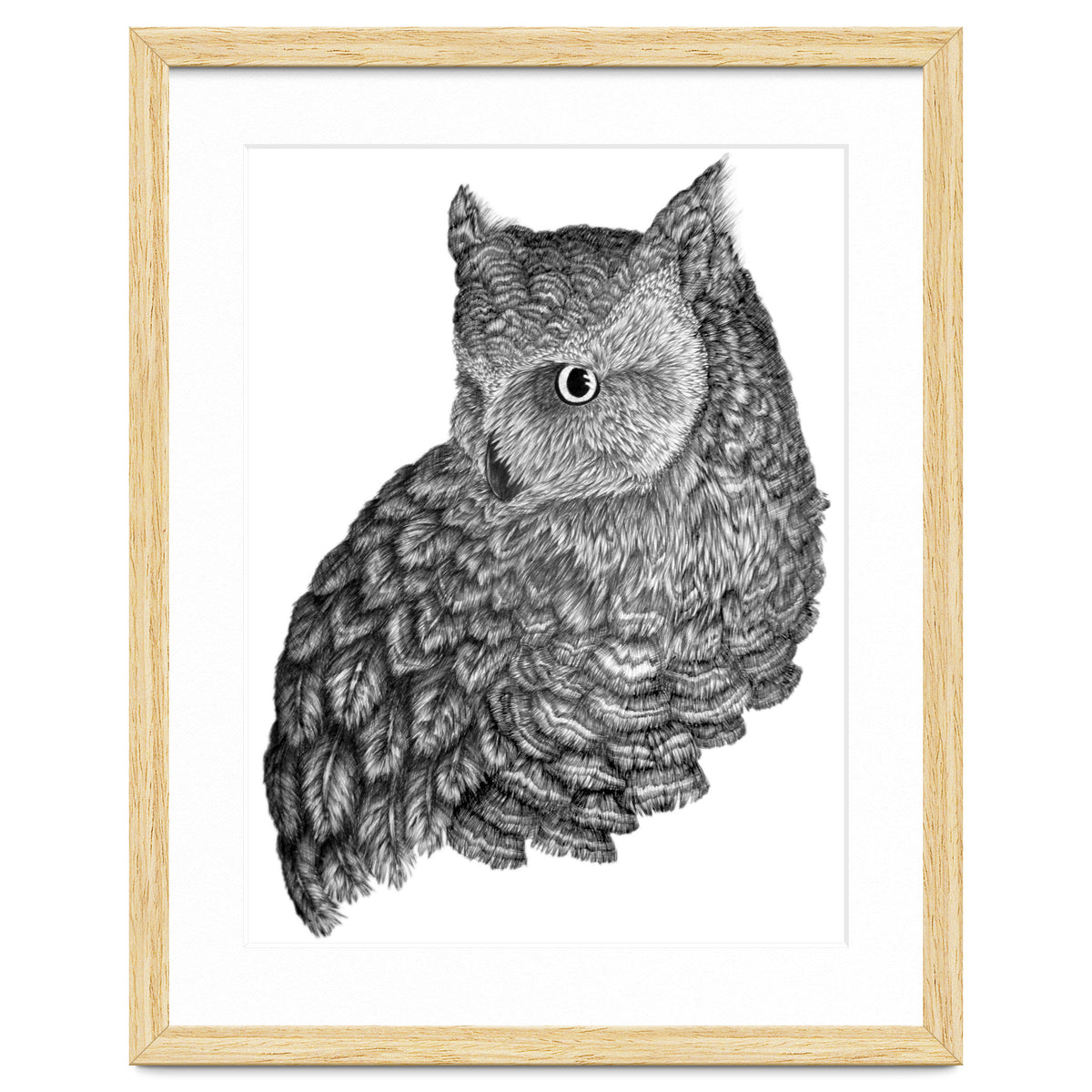 A Friend For Forsythe