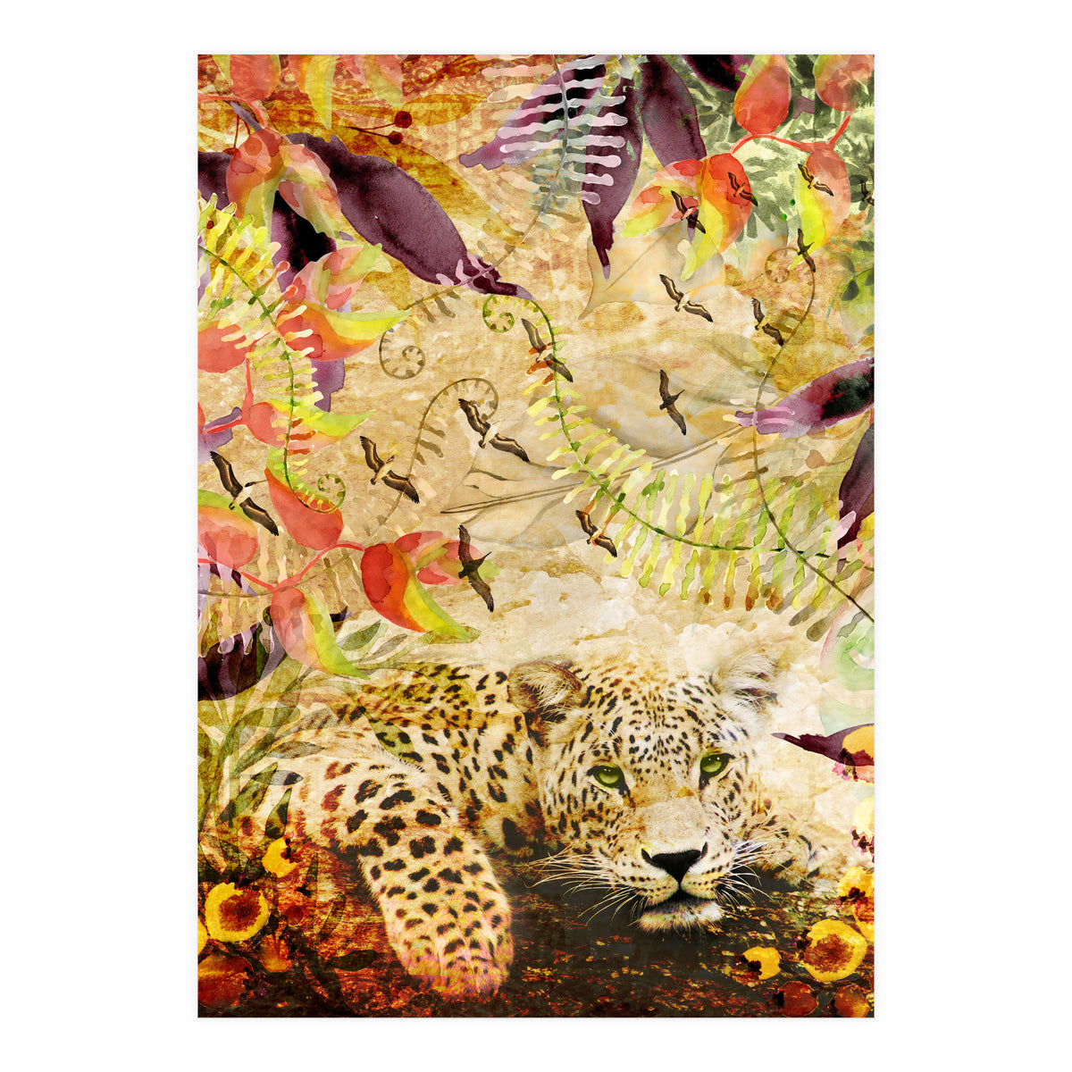 A Life Wild (Print Only)