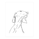 Smell  (Print Only) thumbnail