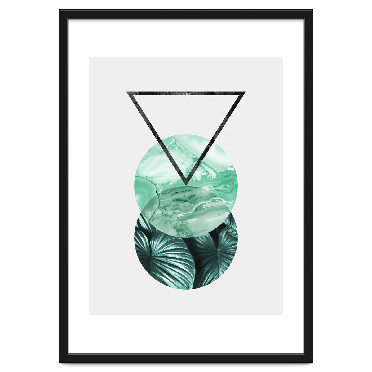 Botanical and geometric II