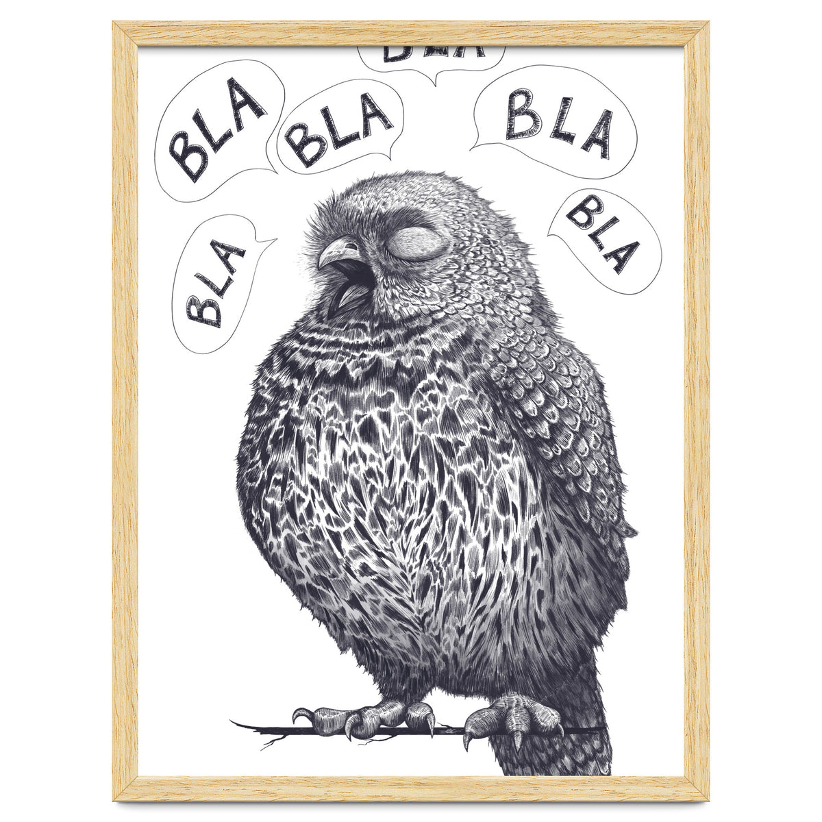 Owl Bla Bla Bla