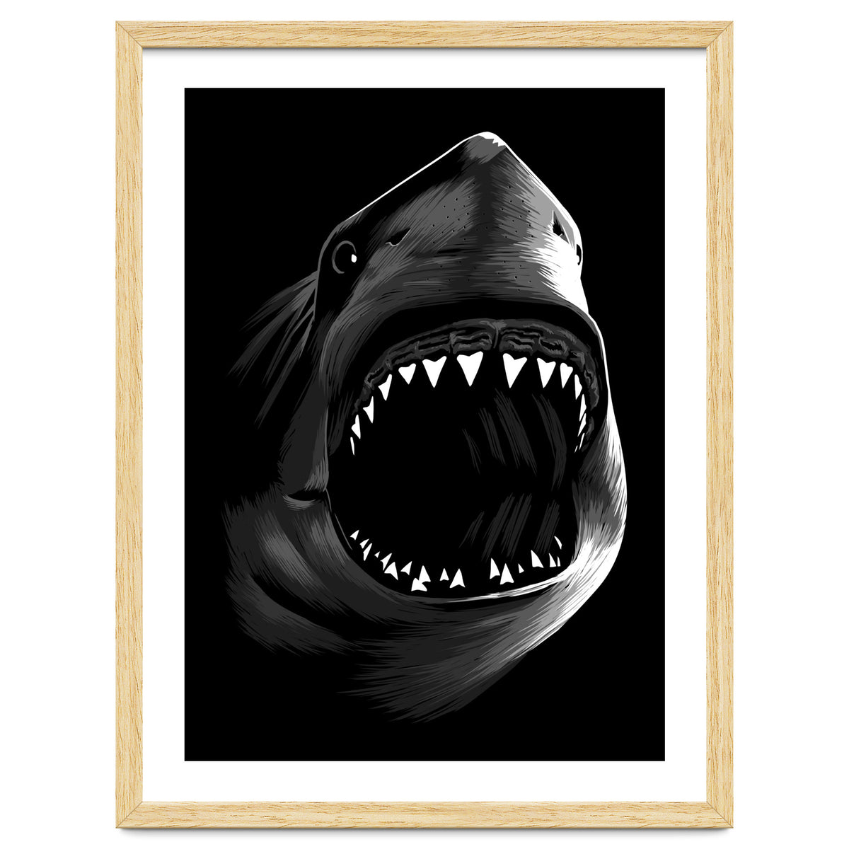 Megalodon