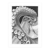 Octopus no. 1 (Print Only) thumbnail