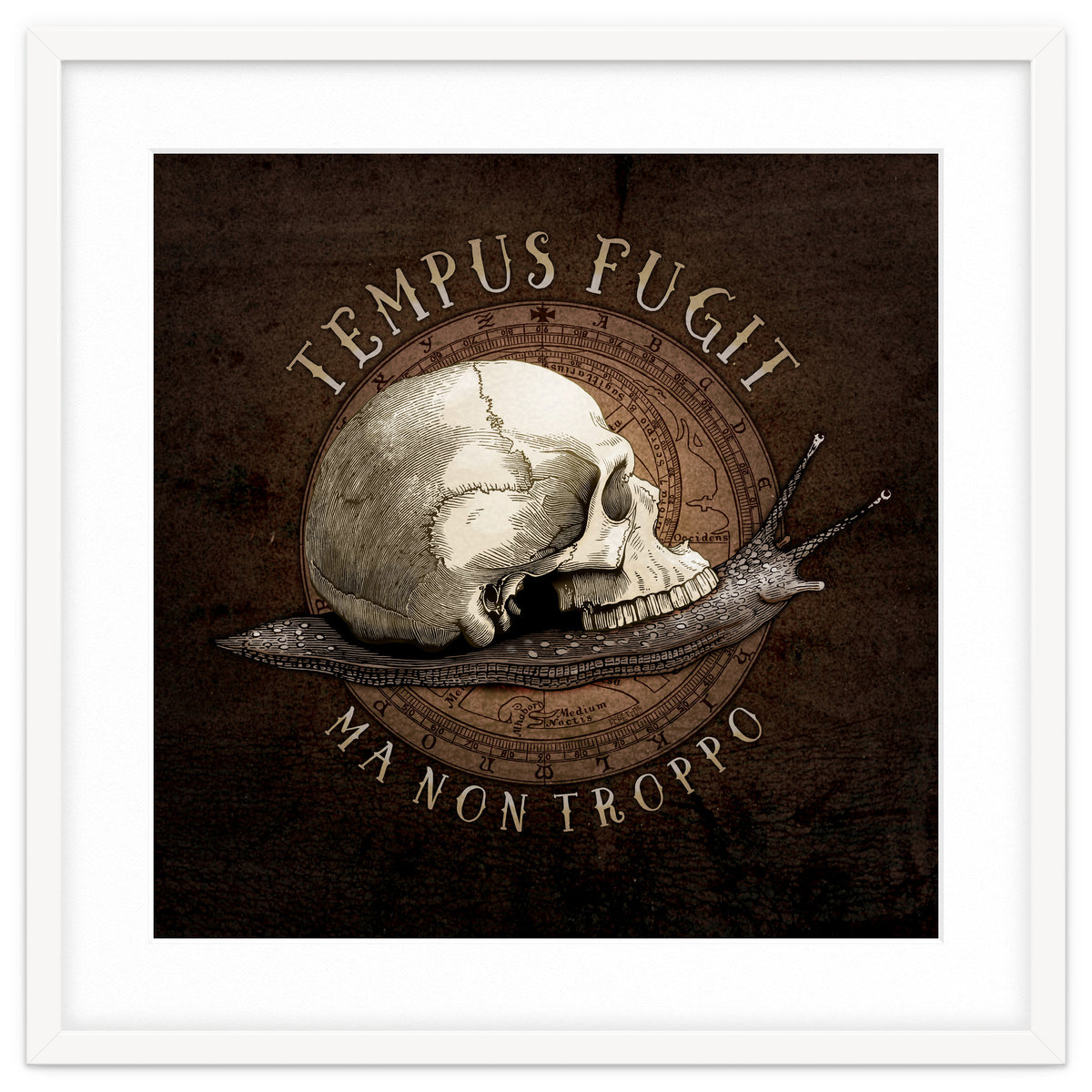 Tempus Fugit (ma non troppo)
