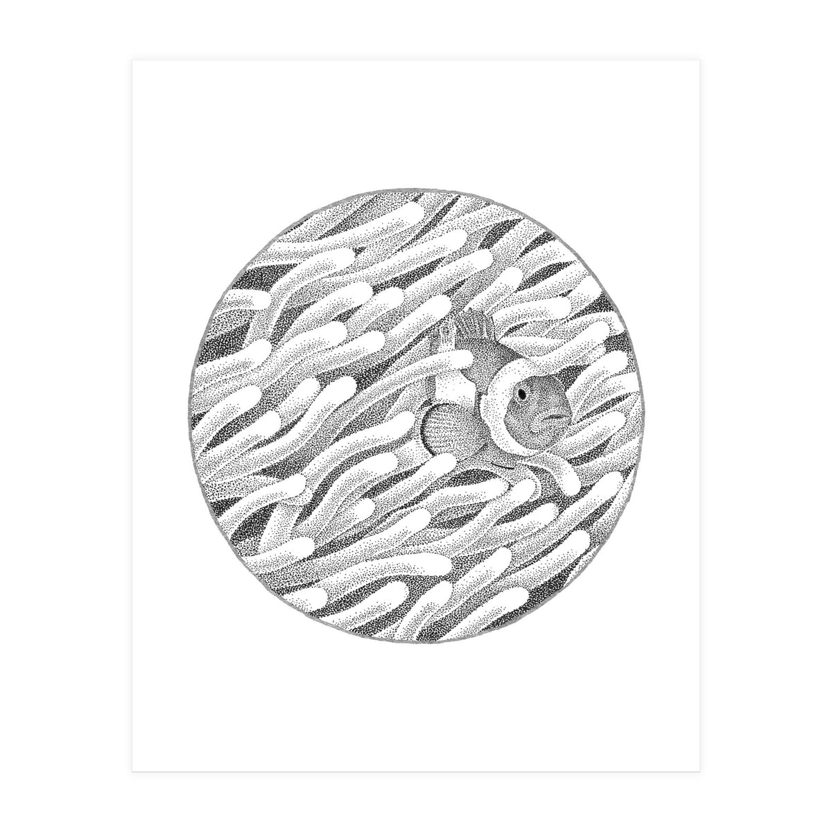 P.O. Underwater Gardens (Print Only)