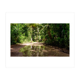 Haitian Bush (Print Only) thumbnail