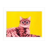 Life In Technicolor (Print Only) thumbnail