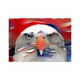Bald Eagle (Print Only) thumbnail