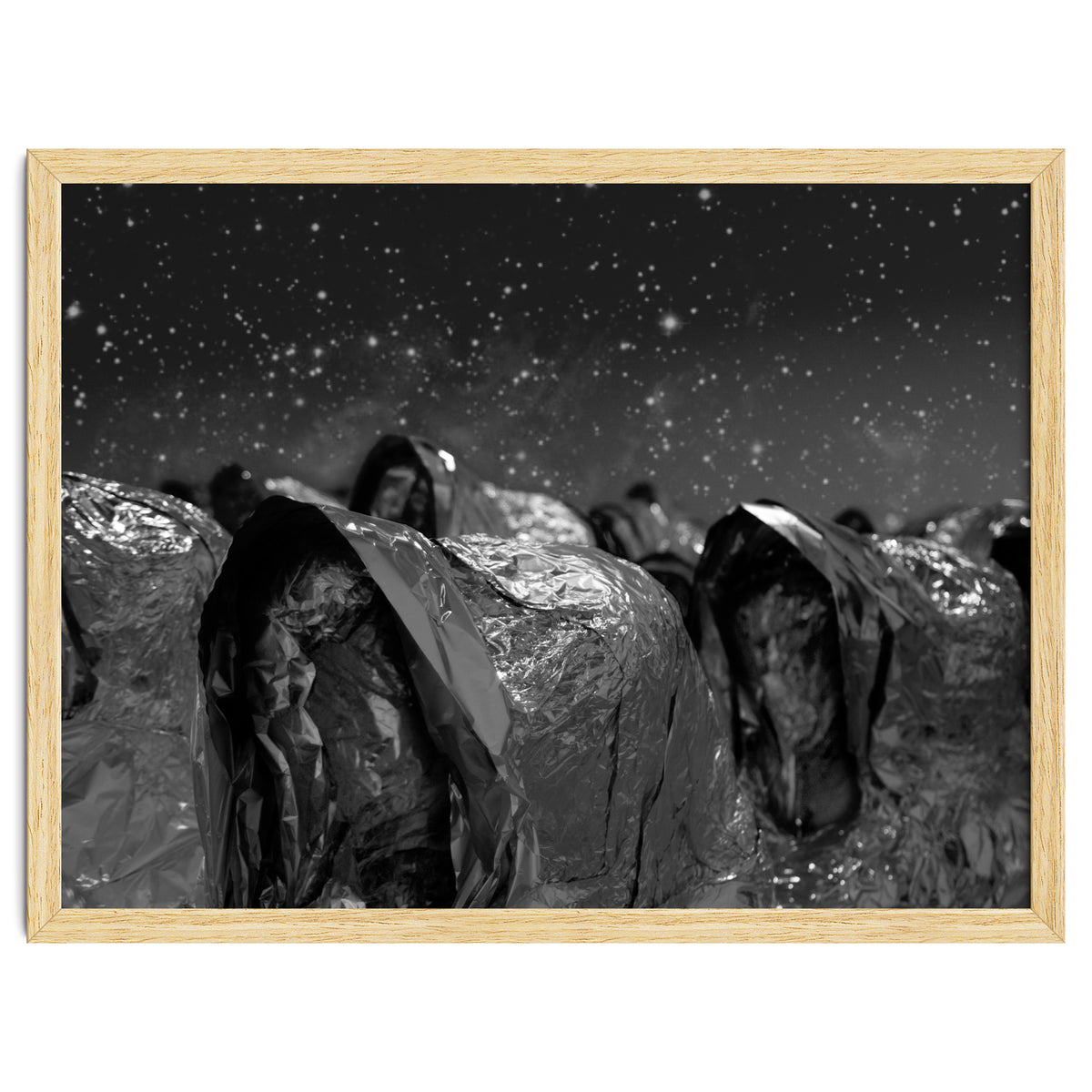 Fellini's Plastic Sea