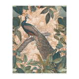 Vintage Peacock (Print Only) thumbnail