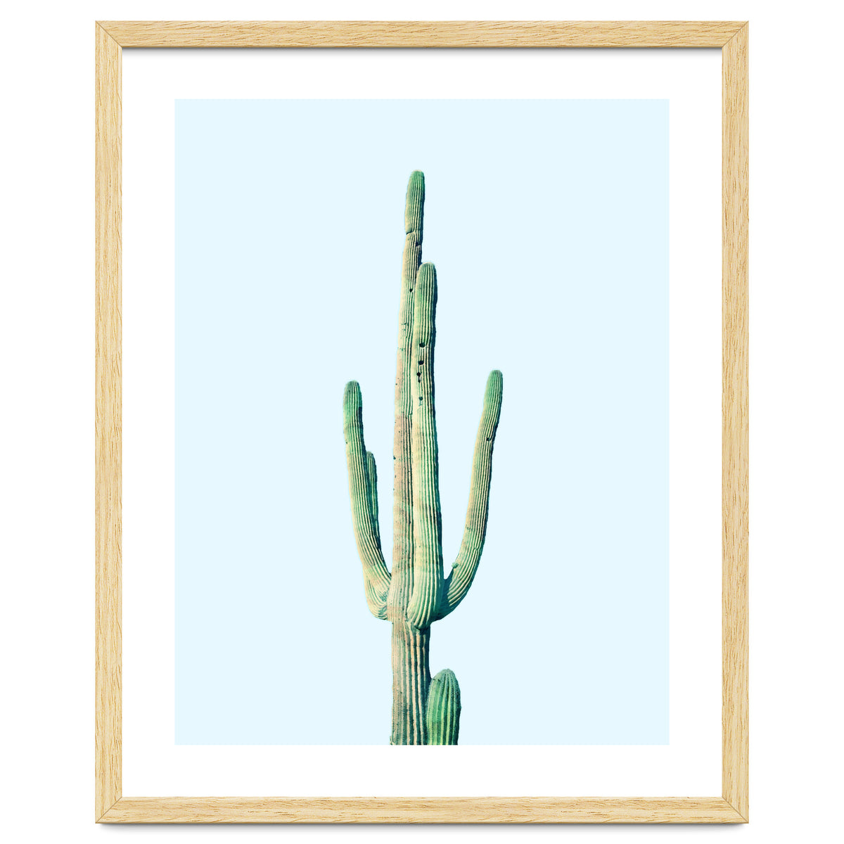 Loner Cactus