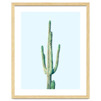 Loner Cactus