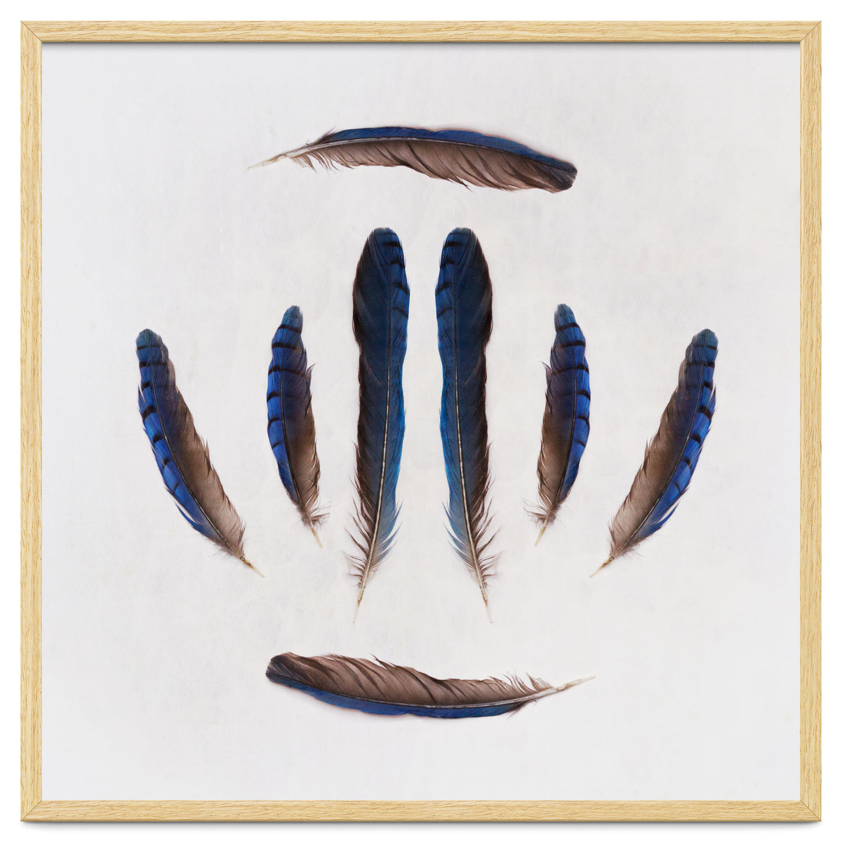 Forgive Me For Forgetting