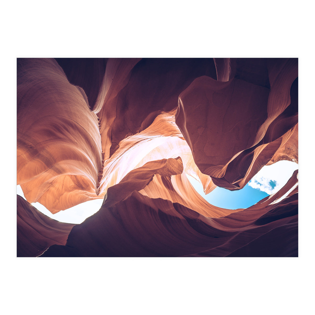 Twisted (Print Only)