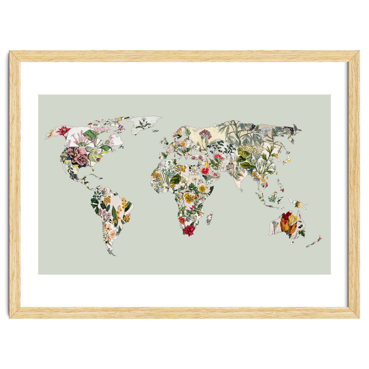 Vintage Botanical Map - Green