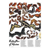 Maine Butterflies Chart (Print Only)