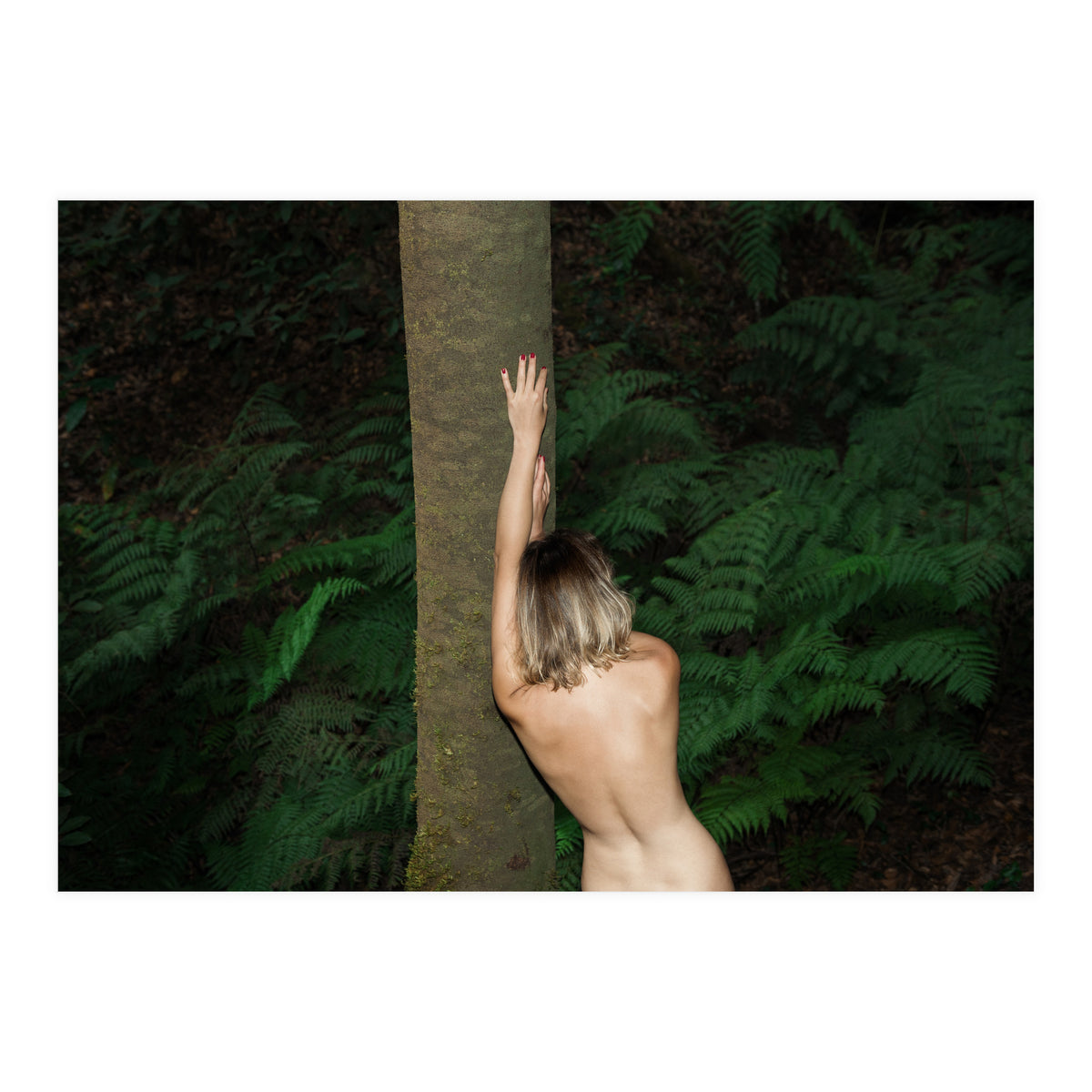 Between Some Ferns (Print Only)