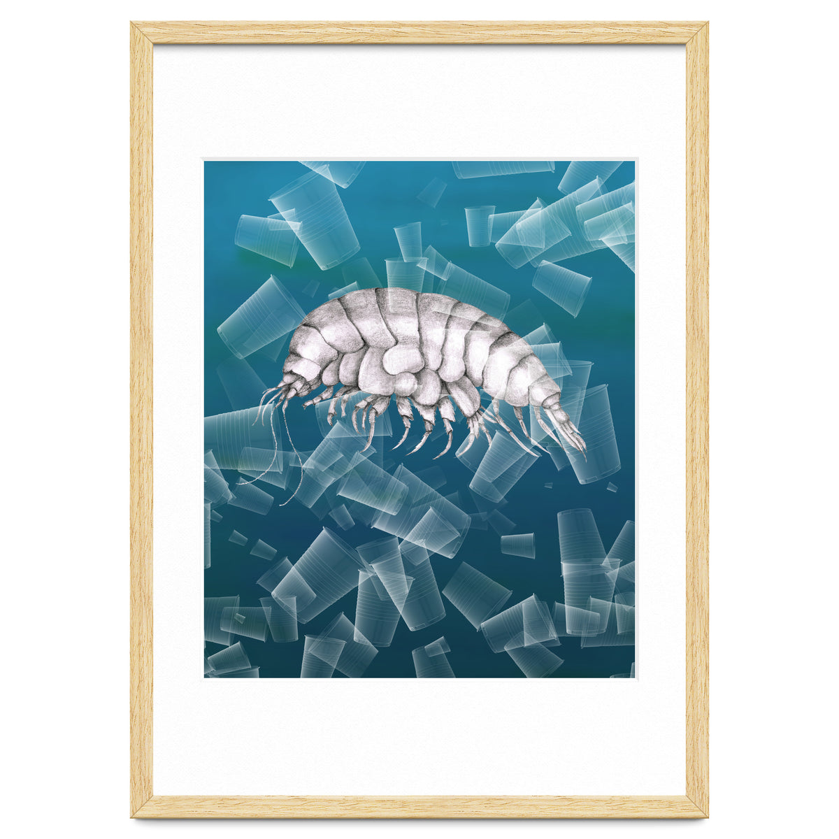 Eurythenes Plasticus