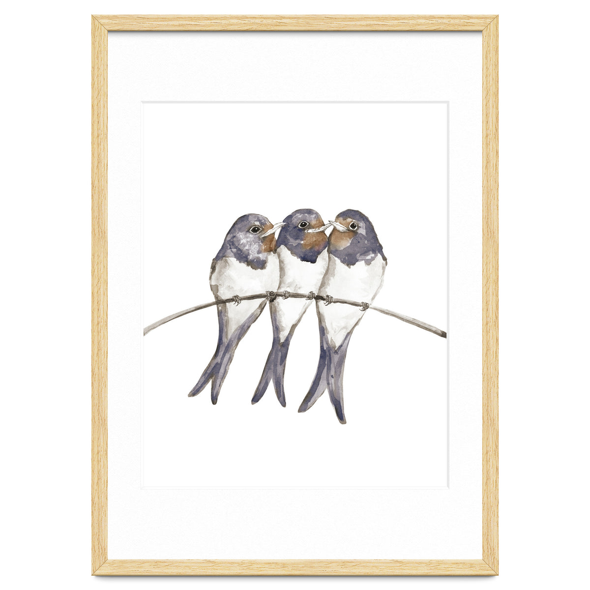 Three young swallows