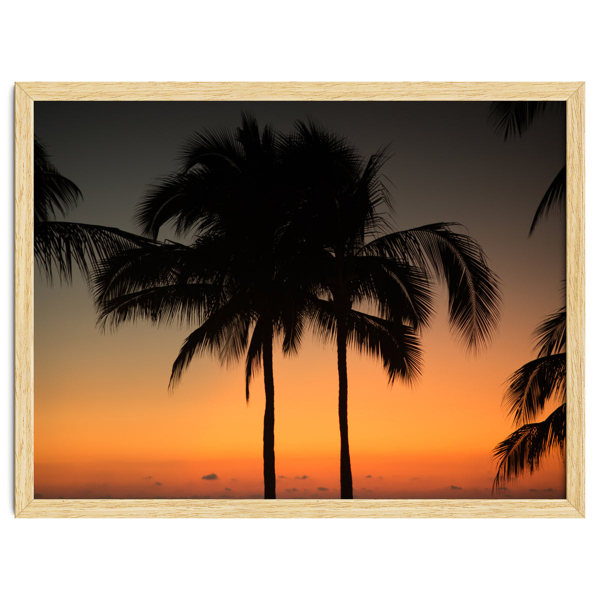 Mexico, November nights