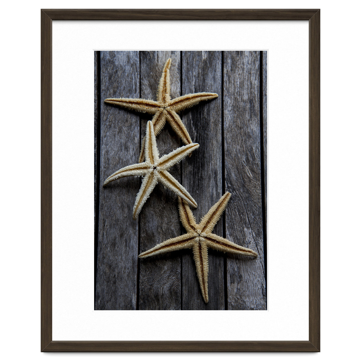 Starfishes in wooden