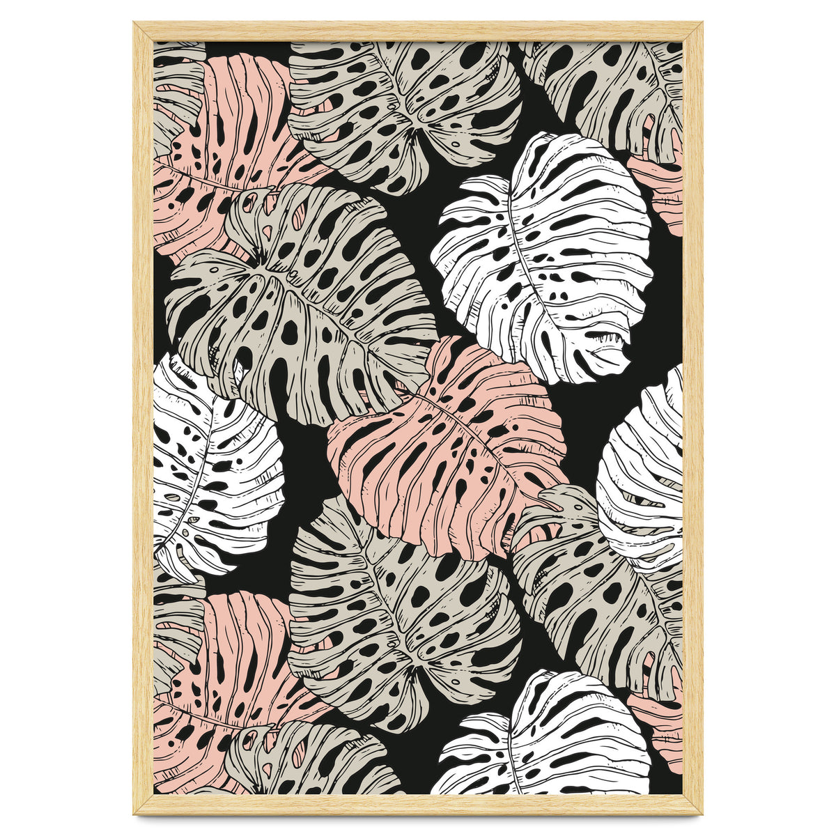 Monstera in the darkness of the jungle