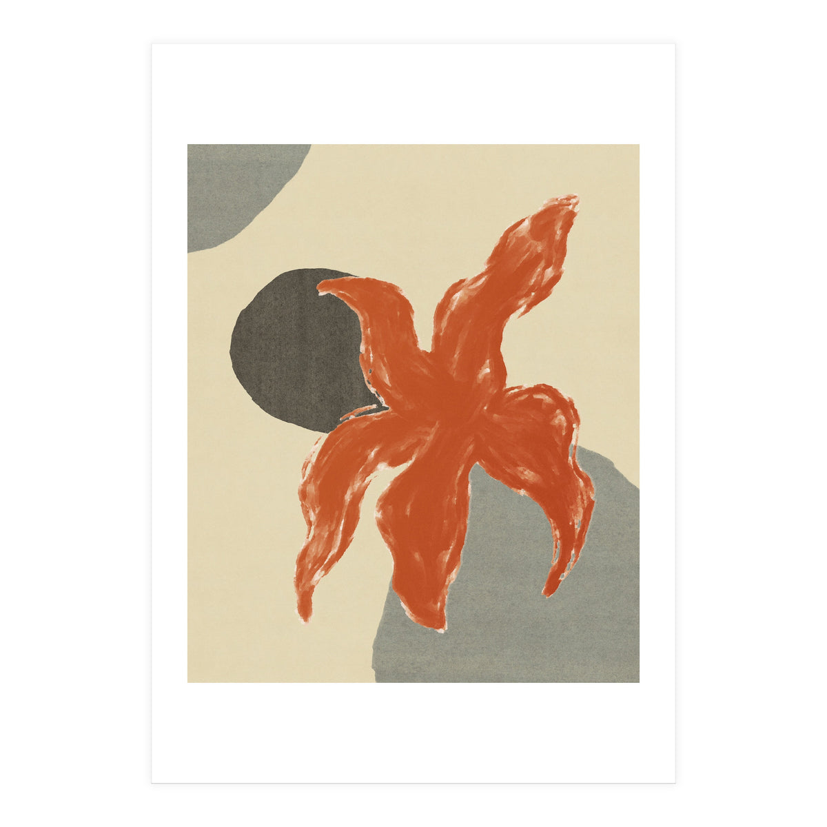 Wobbly Sea Star On Rocks \\ Abstract Composition (Print Only)