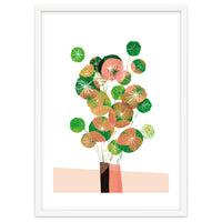 Pilea In Green And Coral