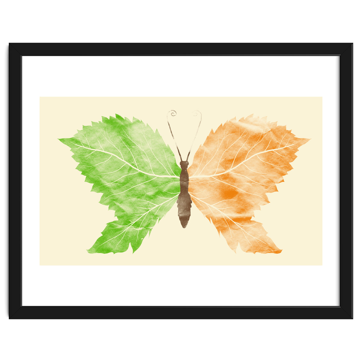 Seasons Change Time Flies