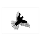Bird White (Print Only) thumbnail