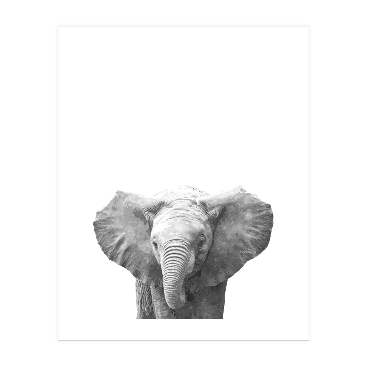 Black and White Baby Elephant  (Print Only)