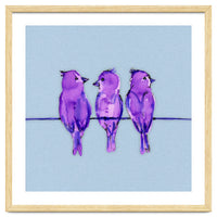 Three purple birds