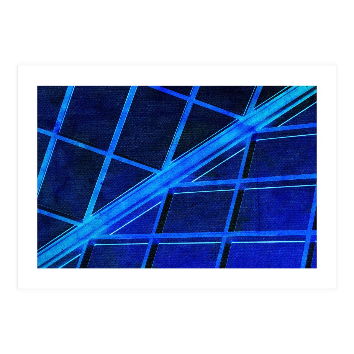 WTnight  (Print Only)