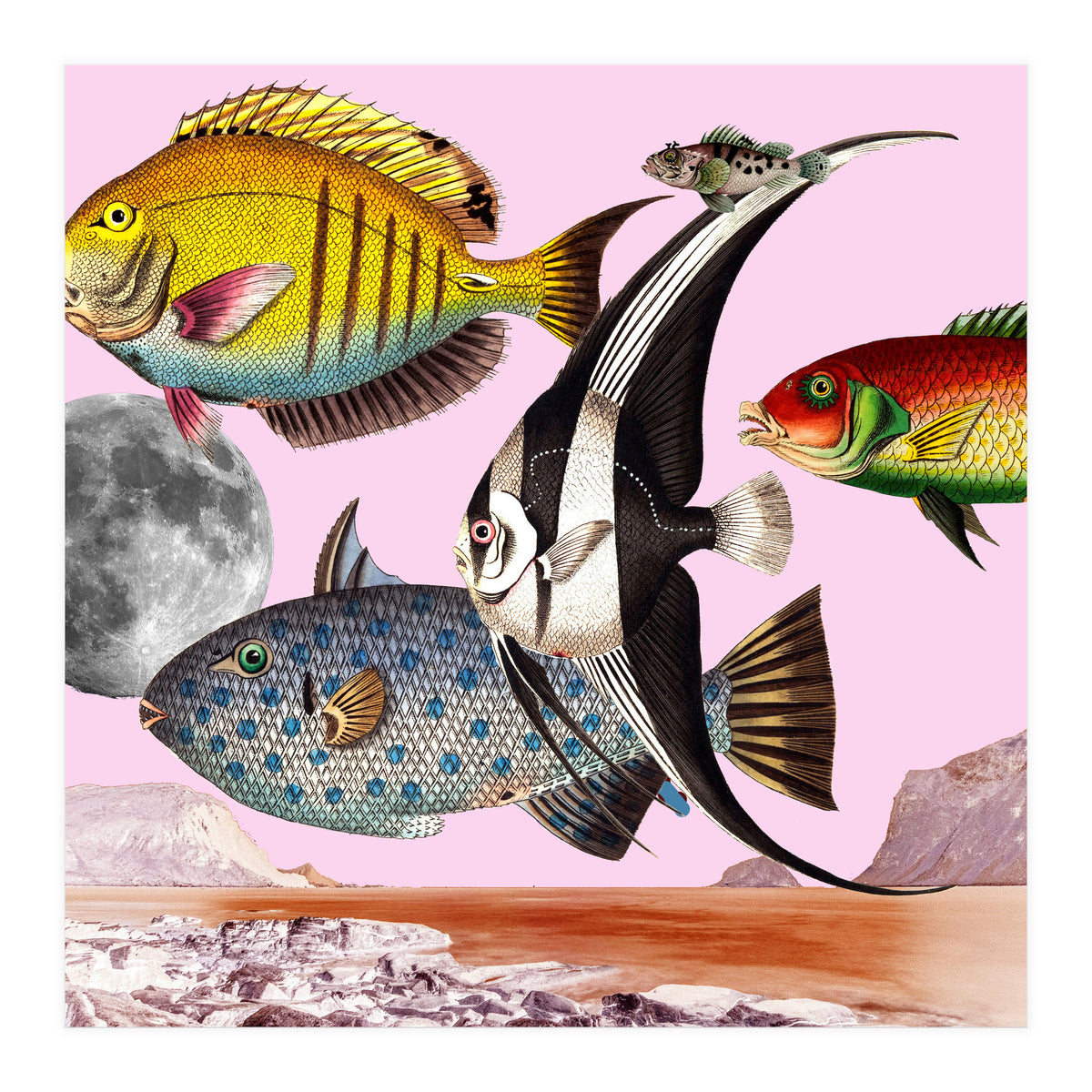Fish World Pink (Print Only)