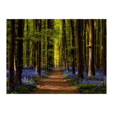 The Path To Light (Print Only) thumbnail