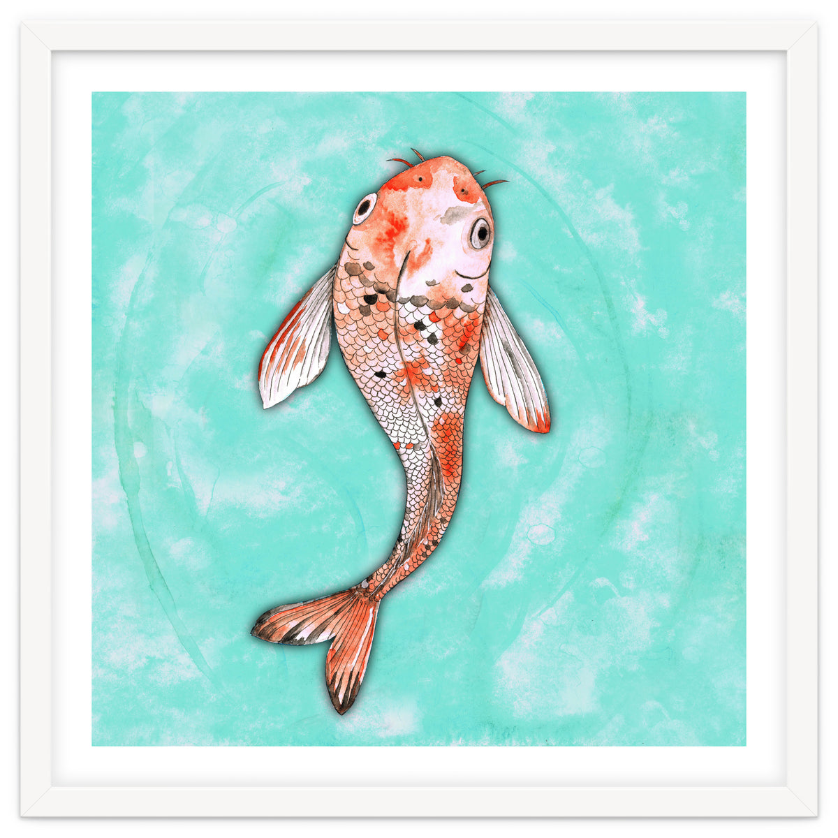 Koi fish