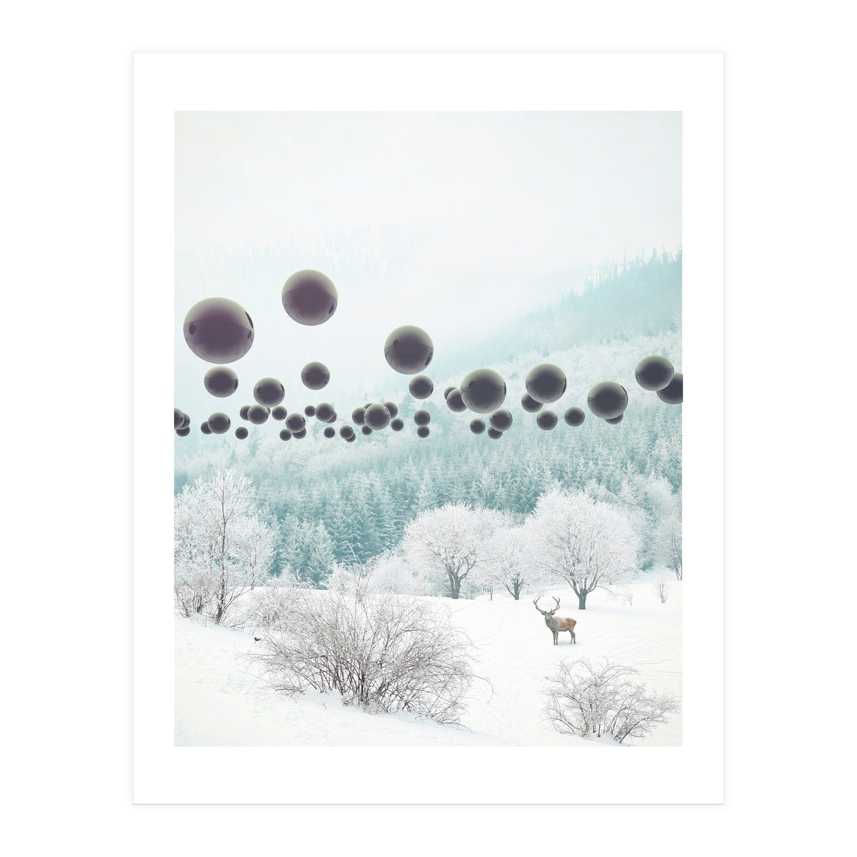 Forest Phantom (Print Only)