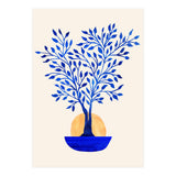 Indigo Ficus Sunrise (Print Only) thumbnail