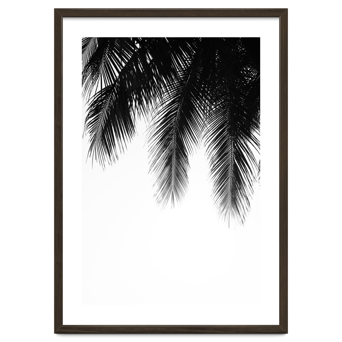 Palm leaves