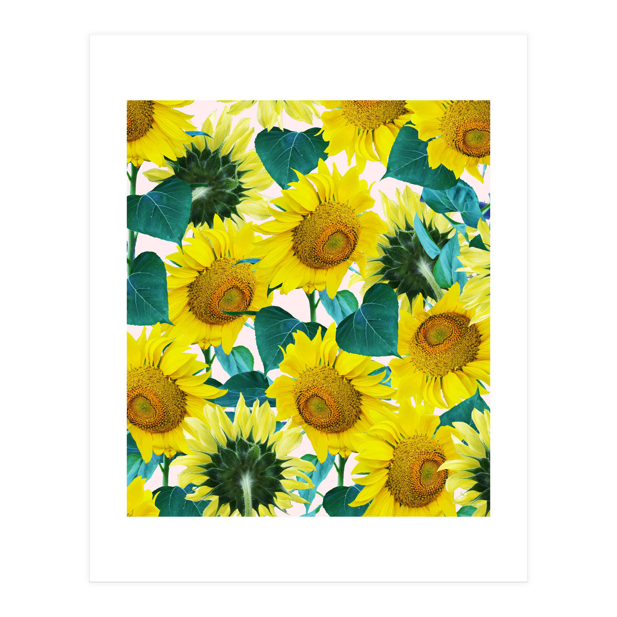 Sunflower (Print Only)
