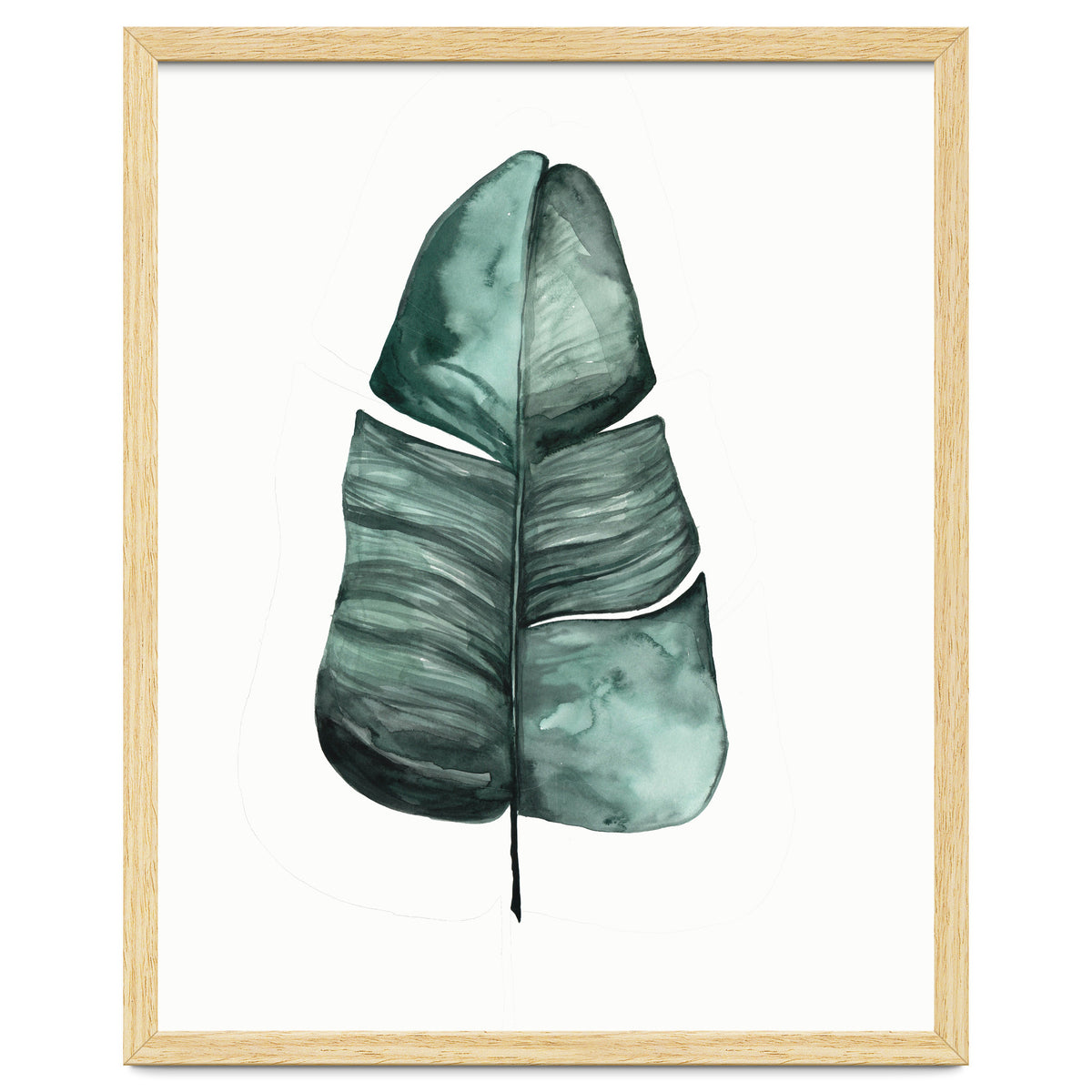 Botanical Illustration Banana Leaf