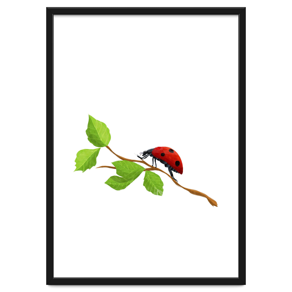 Ladybug