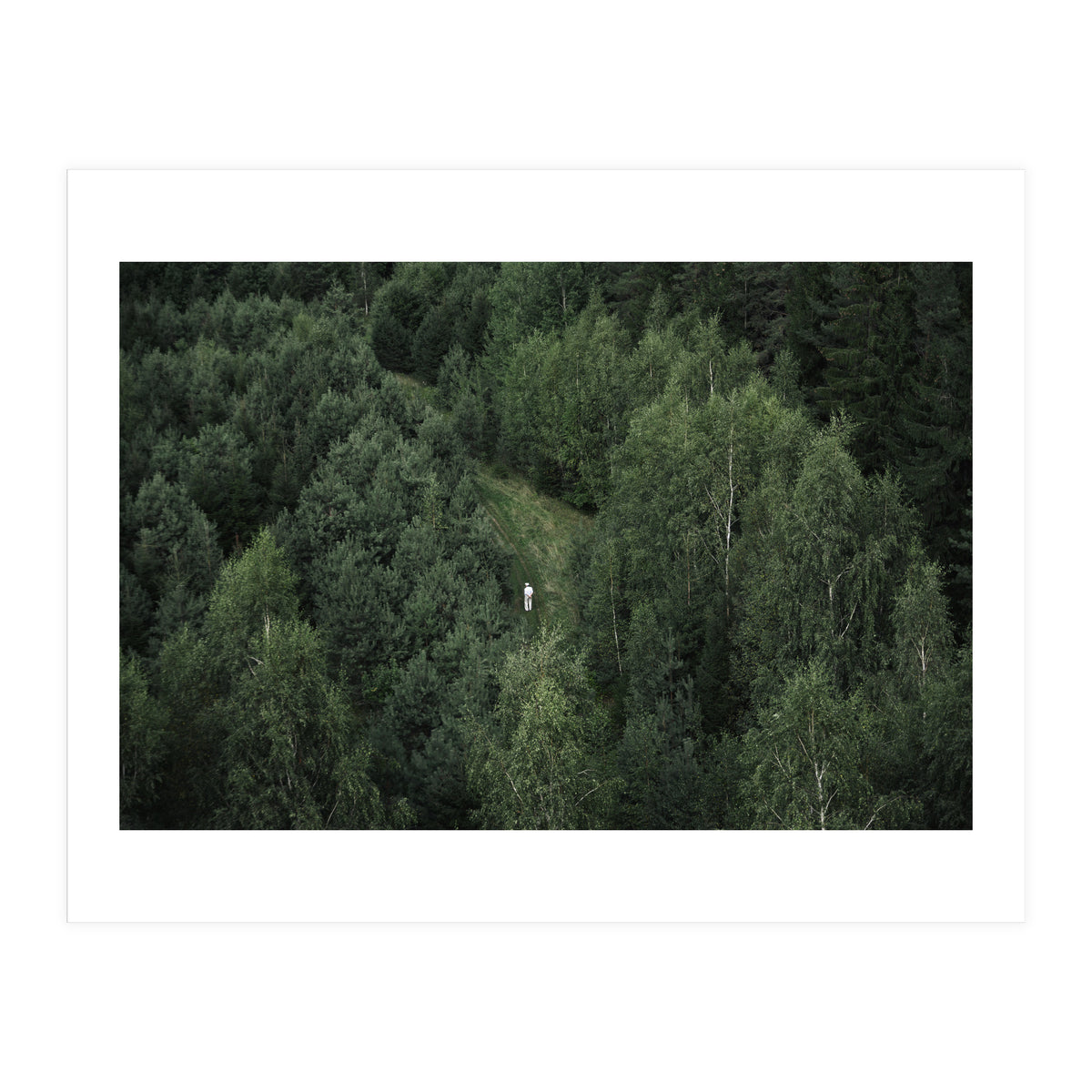 What's the Date Today? (Print Only)