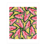 Caladium, Botanical Tropical Nature Plants, Vintage Bohemian Exotic Blush Leaves (Print Only) thumbnail