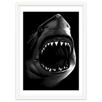 Great Shark White