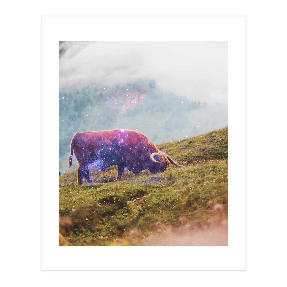 Space Cow Series I (Print Only)