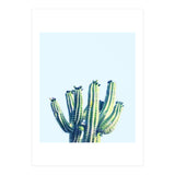 Cactus (Print Only) thumbnail